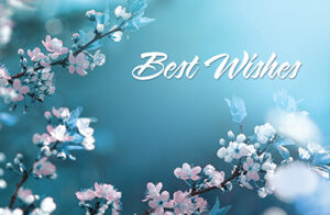 Best Wishes