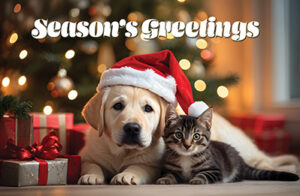 Season’s Greetings